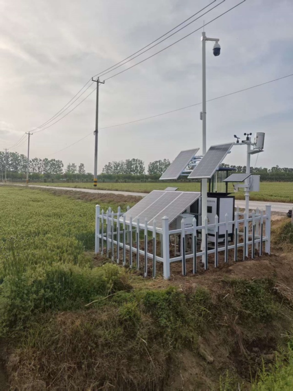 宿遷病害蟲情項(xiàng)目圖片3